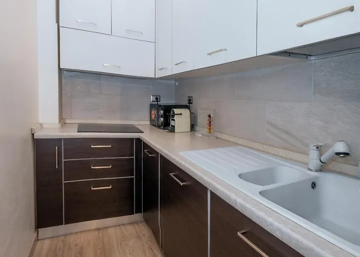 Residenza Ii Duca * Turin